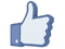 Agent Facebook marketing and affordable IDX